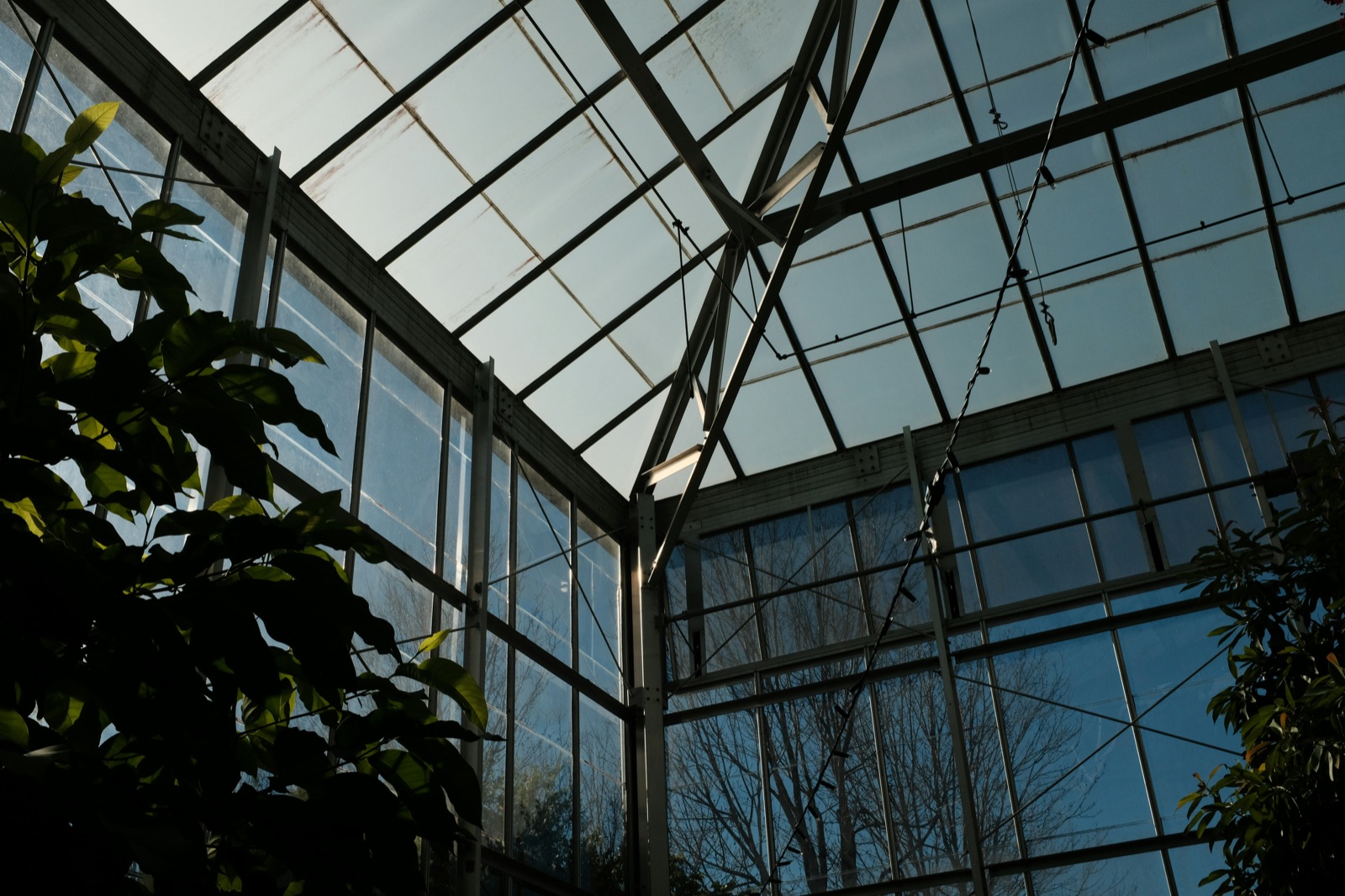 Verrière atelier sur mesure en acier et verre